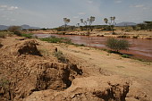  014 Oblast Samburu, pobl Archer's Post
 
 .14 - 14.jpg (900x600) 139 kB 