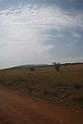  145 NR Maasai Mara 
 
 .145 - 145.jpg (400x600) 34 kB 